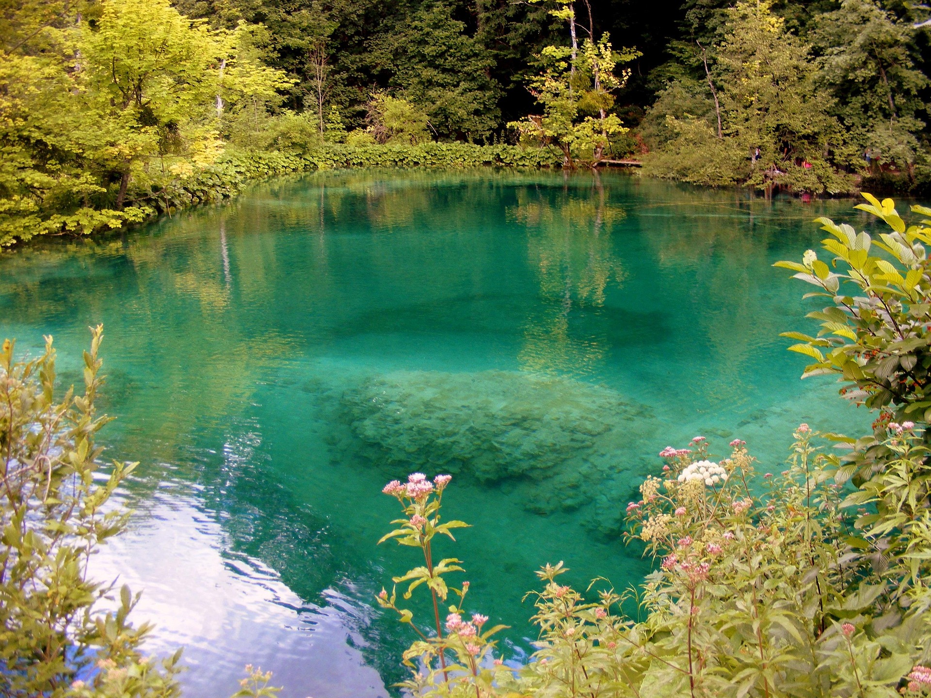 Turquoise lake framed by lush forest at Plitvice